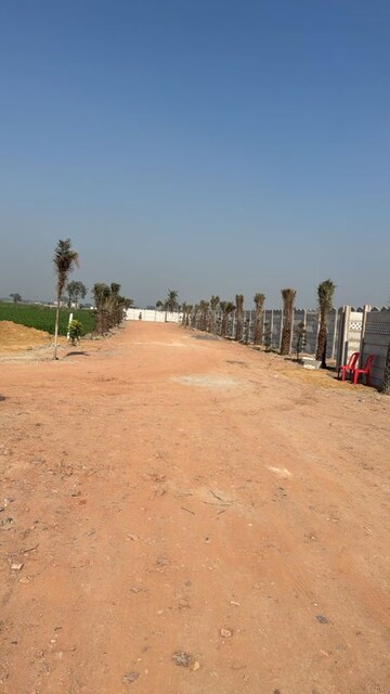 Plot Area in  Plot at Tappal – for Sale