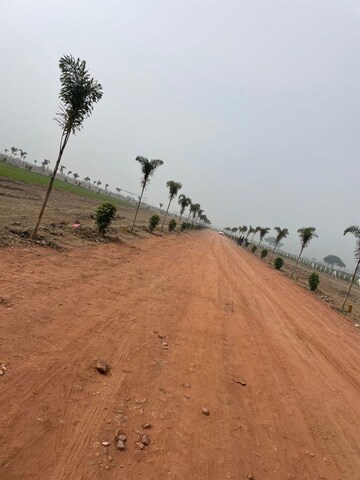 Plot Area in  Plot at Tappal – for Sale