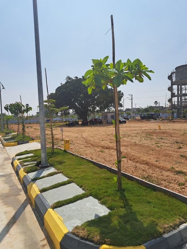 Plot For Sale in Lighthouse Swasthika