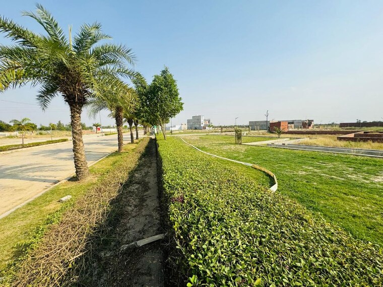 Garden, tdi city  117 Sq.Yd. Plot In Tdi City Panipat 9999886