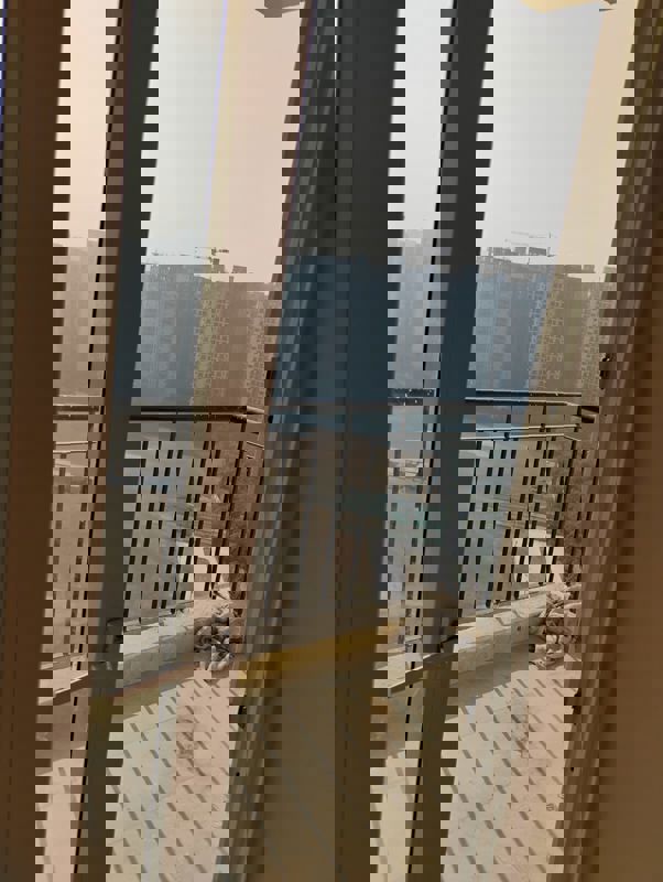 1 BHK 585 Sq.Ft. Apartment in Amrapali Ivory Heights