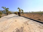 186 Sq.Yd. Plot in Niranjanpur