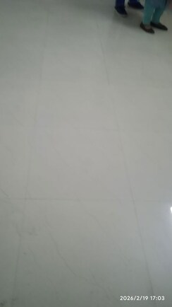 2.5 BHK + Pooja Room Independent House For Rent in Sector 56
