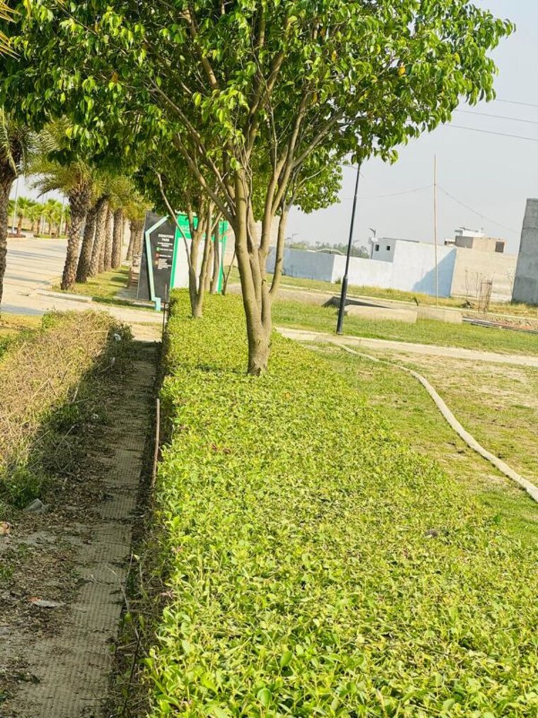 Garden, tdi city  168 Sq.Yd. Plot In Tdi City Panipat 10000868