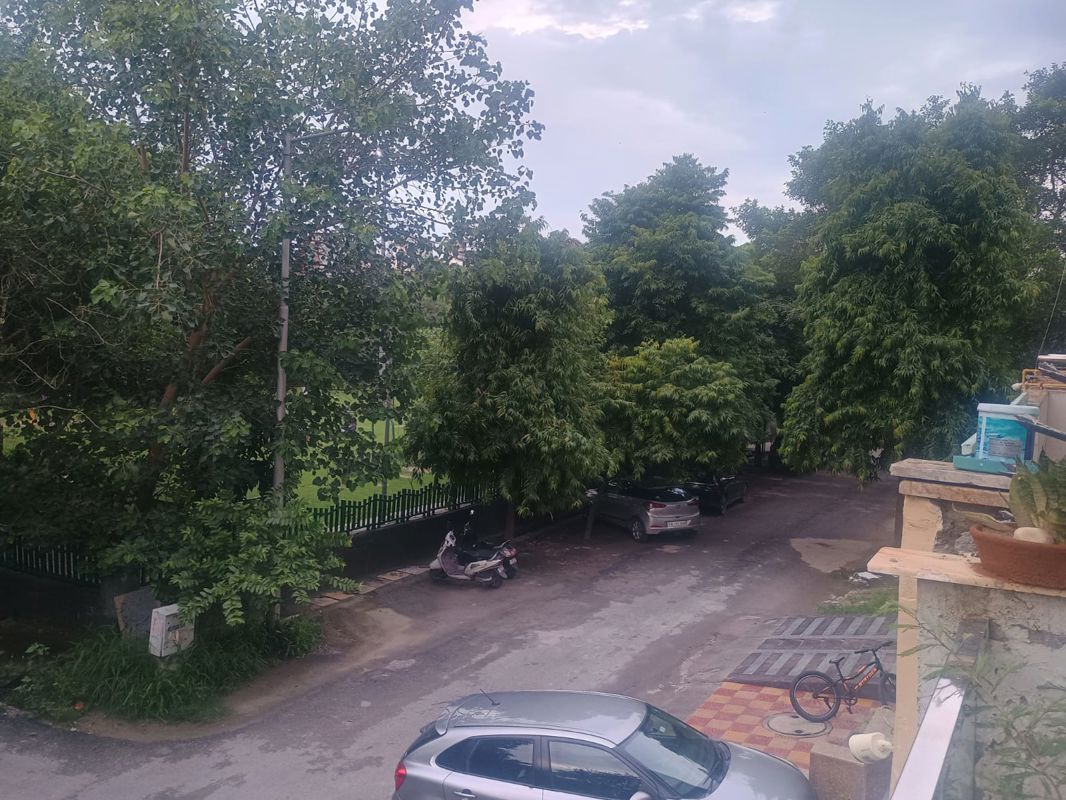 Plot For Sale in Sector 51