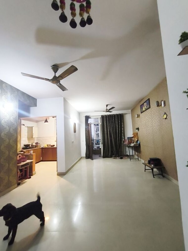 Living Room, nk-sharma-savitry-towers 2 Bedroom 956 Sq.Ft. Builder Floor In Sas Nagar Chandigarh 10002032