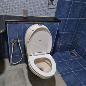 Bathroom in 3 BHK Apartment at Renaissance Exotica, Jakkuru – for Rent