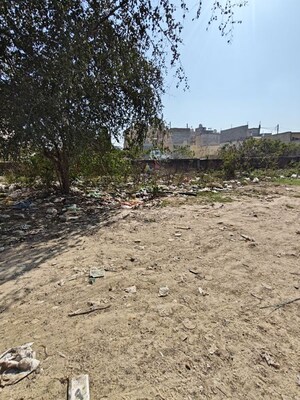  Land For Rent in Ansal Plaza Sector-23, Sector 23