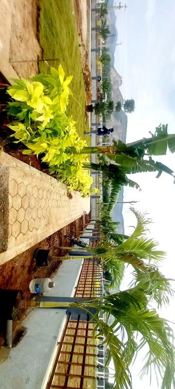  Plot – Exterior View View at Kandukur - for Sale