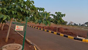  Plot – Exterior View View at JB Harmony Woods, Thummaloor - for Sale