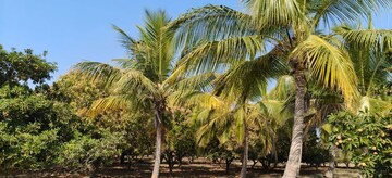  Plot – Exterior View View at JB Harmony Woods, Thummaloor - for Sale