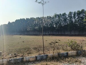 Plot Area in  Plot at Shadnagar – for Sale