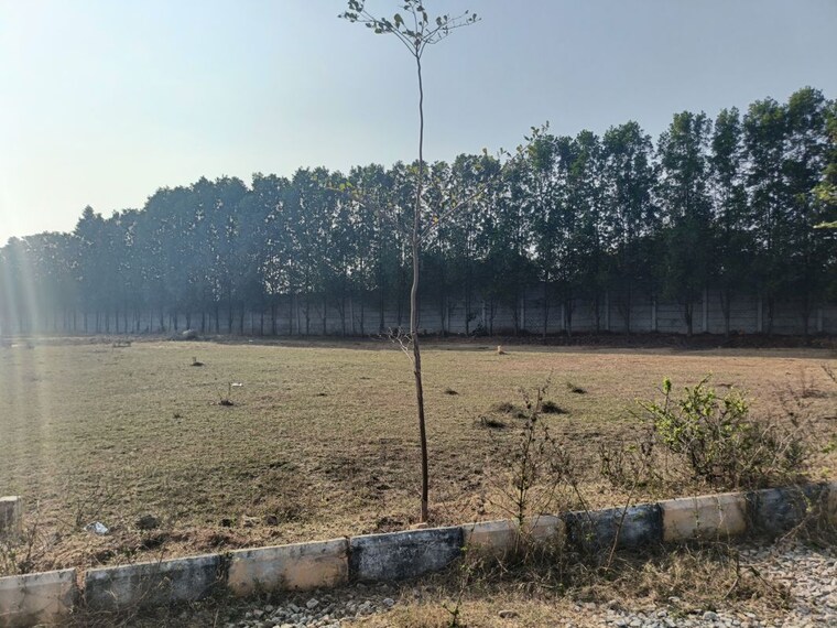 undefined, shadnagar  200 Sq.Yd. Plot In Shadnagar Hyderabad 10002807