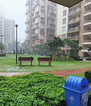 3 BHK Apartment For Rent in Sushma Crescent, Dhakoli