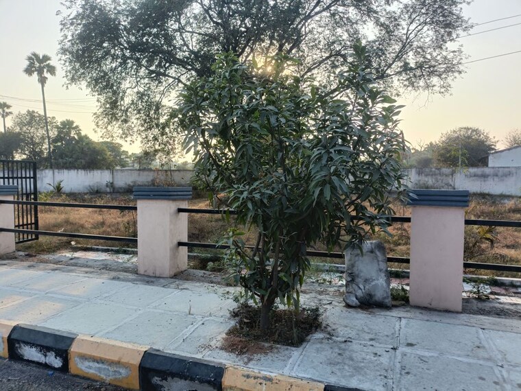 Exterior View, shamirpet  150 Sq.Yd. Plot In Shamirpet Hyderabad 10002836