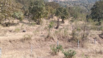 Plot Area in  Plot at Panshet – for Sale