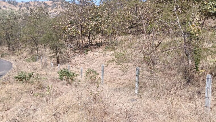 undefined, panshet  78000 Sq.Ft. Plot In Panshet Pune 10002842