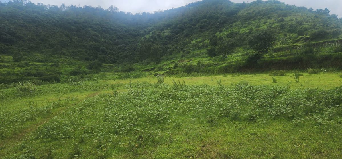 Plot For Sale in Panshet