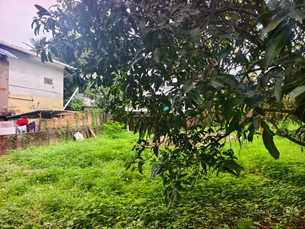 Plot For Sale in Muttada