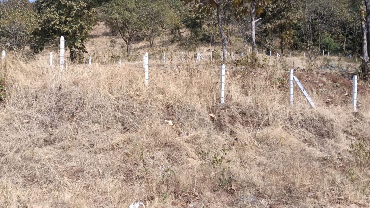 Plot For Sale in Panshet