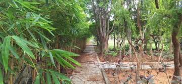  Plot – Exterior View View at Bhongiri Warangal Highway - for Sale