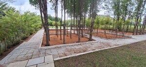 Plot Area in  Plot at Bhongiri Warangal Highway – for Sale