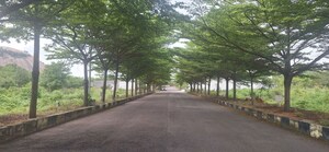  Plot – Exterior View View at Bhongiri Warangal Highway - for Sale