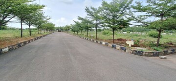 Plot Area in  Plot at Bhongiri Warangal Highway – for Sale