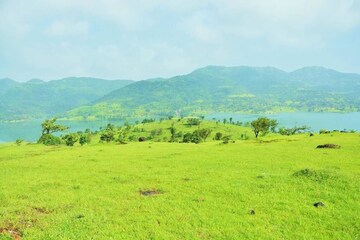 Plot Area in  Plot at Panshet – for Sale