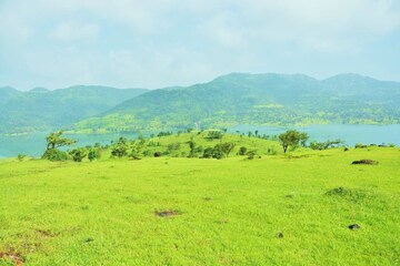 Plot Area in  Plot at Panshet – for Sale