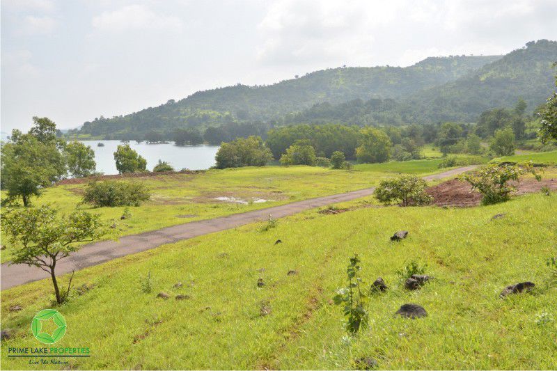 Plot For Sale in Panshet