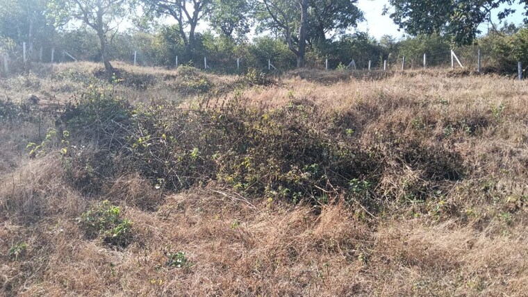 undefined, varasgaon  26000 Sq.Ft. Plot In Varasgaon Pune 10002953