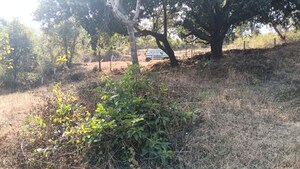 Plot Area in  Plot at Varasgaon – for Sale