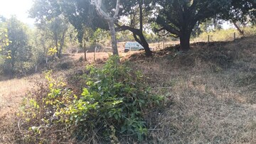 Plot Area in  Plot at Varasgaon – for Sale