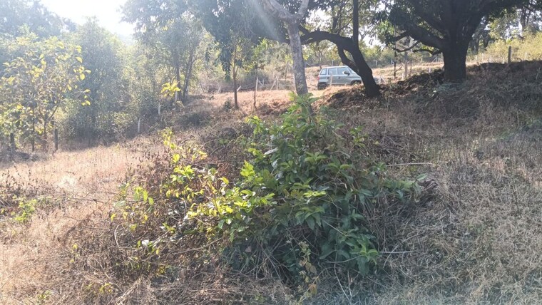 undefined, varasgaon  26000 Sq.Ft. Plot In Varasgaon Pune 10002953