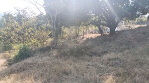 Plot Area in  Plot at Varasgaon – for Sale