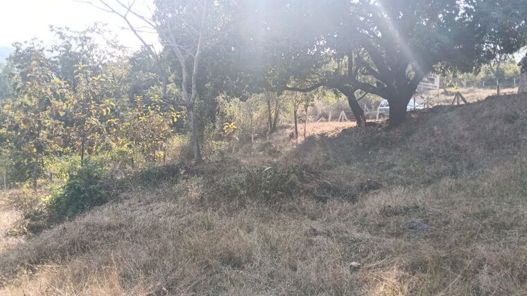 undefined, varasgaon  26000 Sq.Ft. Plot In Varasgaon Pune 10002953