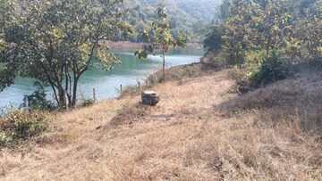 Plot Area in  Plot at Varasgaon – for Sale