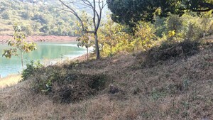 Plot Area in  Plot at Varasgaon – for Sale