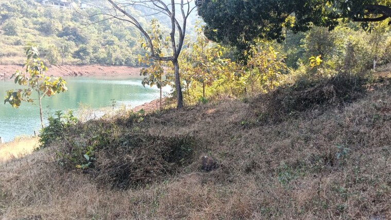 undefined, varasgaon  26000 Sq.Ft. Plot In Varasgaon Pune 10002953