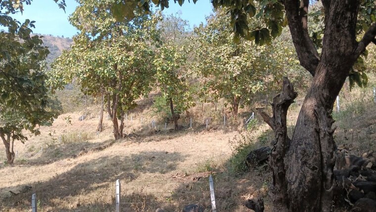 undefined, varasgaon  26000 Sq.Ft. Plot In Varasgaon Pune 10002953