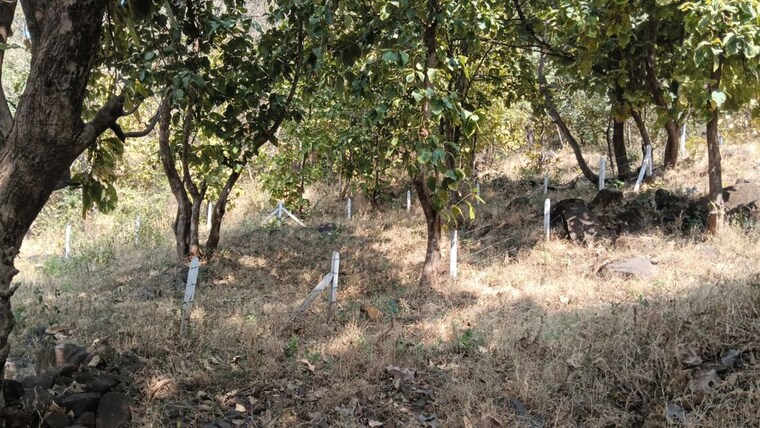 undefined, varasgaon  26000 Sq.Ft. Plot In Varasgaon Pune 10002953