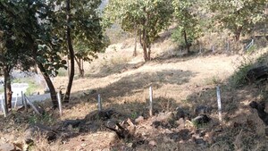 Plot Area in  Plot at Varasgaon – for Sale