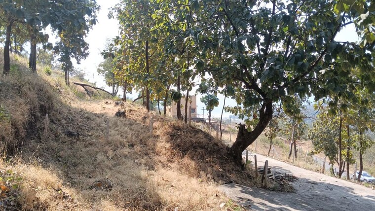 undefined, varasgaon  26000 Sq.Ft. Plot In Varasgaon Pune 10002953