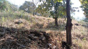 Plot Area in  Plot at Varasgaon – for Sale