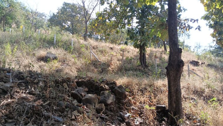 undefined, varasgaon  26000 Sq.Ft. Plot In Varasgaon Pune 10002953