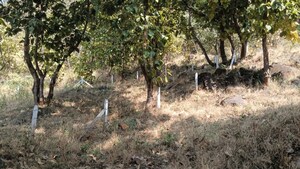 Plot Area in  Plot at Varasgaon – for Sale
