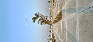  Plot – Exterior View View at Turkayamjal - for Sale