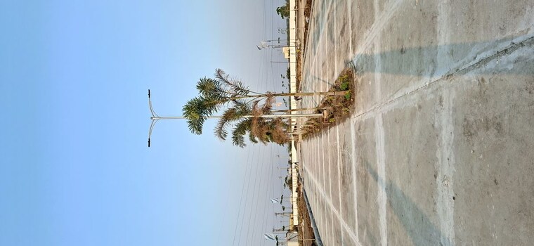 Exterior View, turkayamjal  152 Sq.Yd. Plot In Turkayamjal Hyderabad 10002966