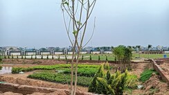 Plot For Sale in Panchkula Urban Estate